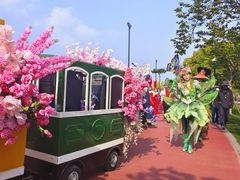 -荷兰花海