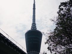 -梧桐山风景名胜区