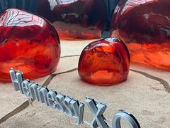 -精绝七日-新疆尼雅遗址数字大展【拉法耶文化艺术中心】