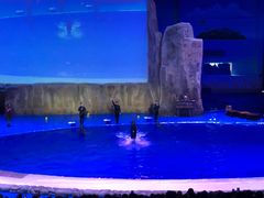 -华夏文旅海洋公园