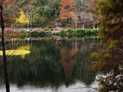 -重庆彩云湖湿地公园