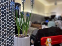 -Radar Coffee(思南路店)
