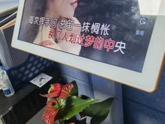 -大象音乐·吉他·架子鼓·声乐(双井店)