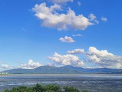 -宝安西湾红树林湿地公园