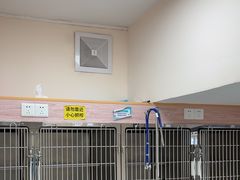 -瑞派紫金宠物医院24小时·骨科·中兽医·重症转诊中心(番禺大石院)