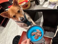 -洞子口重庆鲜货火锅(楚翘城旗舰店)