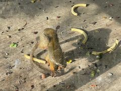 -长白岛森林公园