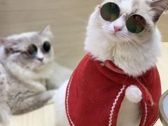 -一心一味(福星店)