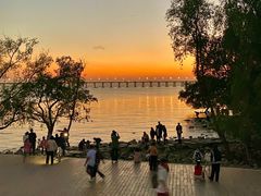 -宝安西湾红树林湿地公园