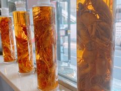 -长顺参鸡汤店(西塔总店)