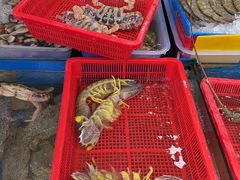 -班赞海鲜市场