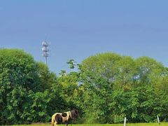 -WE ME 伴山营地·城市露营·团建策划