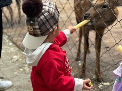 -长白岛森林公园