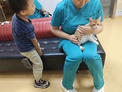 -瑞派天宁宠物医院·猫科·异宠中心