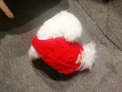 -伽利略剧本探案馆(国贸店)