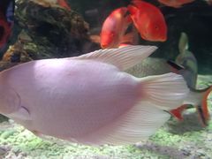 -太平洋海底世界