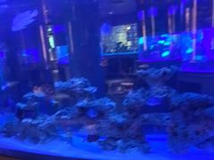 -上和臻品中国菜(花园街店)