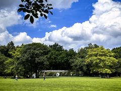 -中国科学院华南植物园