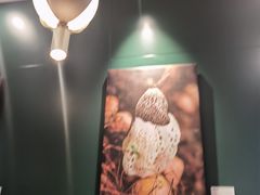 -烹然四季椰子鸡火锅(姚家园万象汇店)