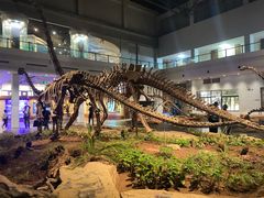 -自贡恐龙博物馆