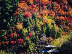 -九如山休闲旅游度假区