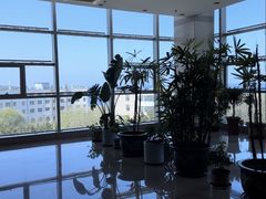 -烟台自然博物馆