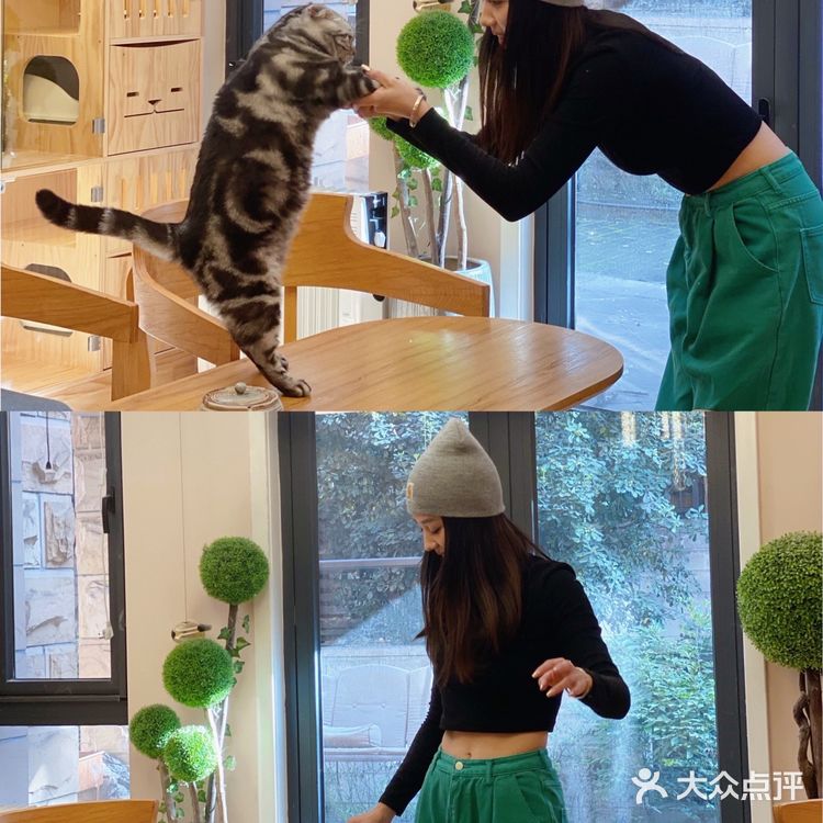 ❗️西安首家独栋别墅猫咖❗️🐈大唐御猫馆🎀