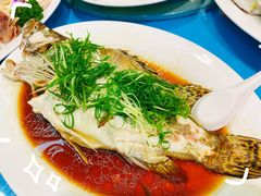 东星斑-盛港湾海鲜食府(黄沙店)