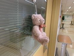 -杭州贝瑞斯美华妇儿医院·早孕·产检·儿科