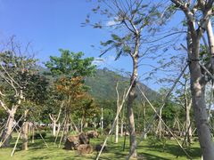 -七娘山
