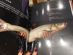 -漾亚·雍雅合鲜(桐梓林店)