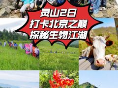 -灵山