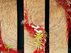 -上海鲜花港