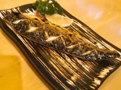 -吉炙烧鸟•本格料理(国际商贸城店)