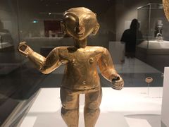 -美国自然历史博物馆