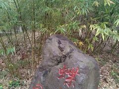 -都江堰中华大熊猫苑