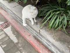 -高旻寺