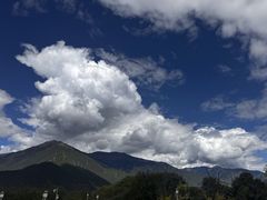 -林芝工布庄园希尔顿酒店-猎味中餐厅