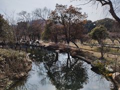-白马涧龙池景区