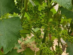 -袁记云饺(西安路店)