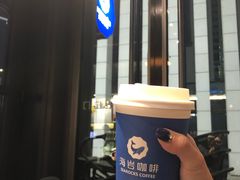 -海岩咖啡(南中环国金店)