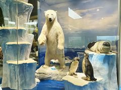 -国家自然博物馆