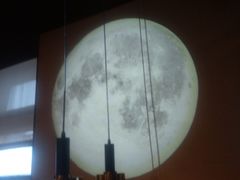 -老板恋上鱼(印象城店)