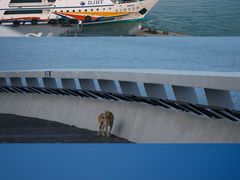 -半升洞码头