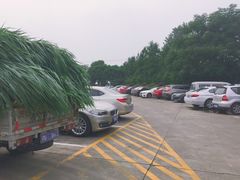 -野生动物园-停车场