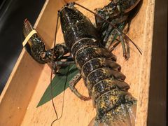 -Ginza Onodera铁板烧(外滩十八号店)