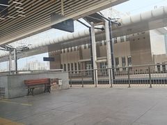 -塘沽站