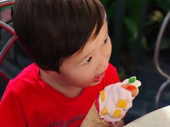 -IL paperino帕帕里诺冰激凌