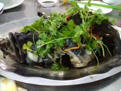 清蒸石斑鱼-QQ海鲜餐厅