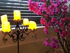 -HUATA 'Holiday Plan 花榻